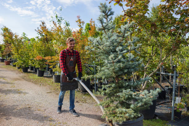 Best Leaf Removal  in Saranac, MI